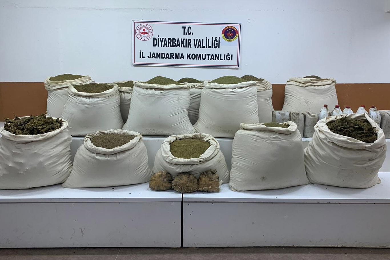 15 milyon kök Hint keneviri ele geçirildi 15 milyon kök Hint keneviri ele geçirildi